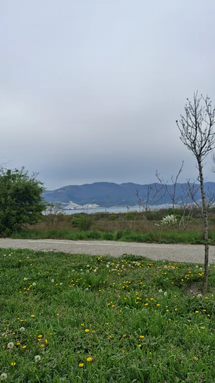 Апартамент с видом на море