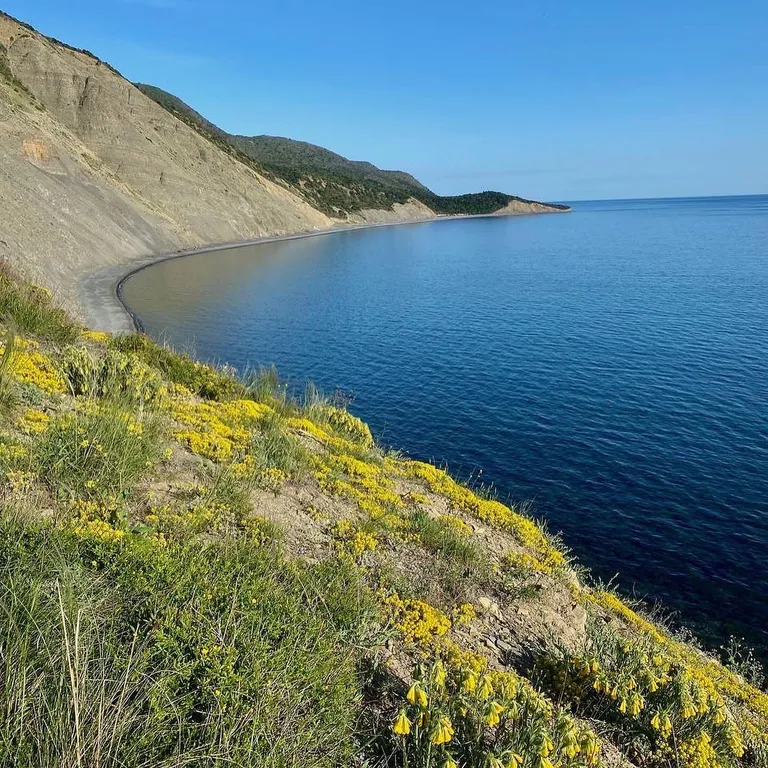 Апартамент в заповеднике с видом на море