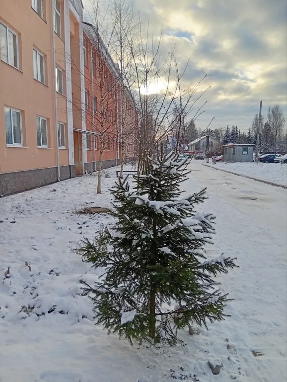 Уютная квартира