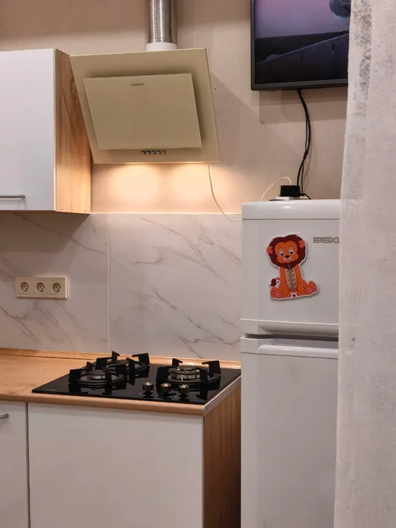 Современная квартира в самом центре города