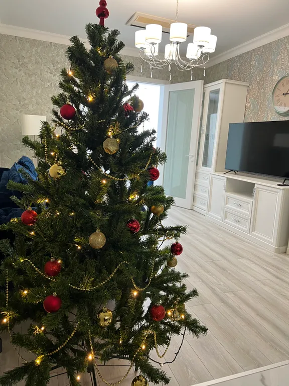 Видовая евротрешка