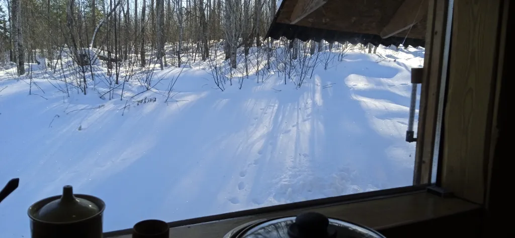 Домик у леса