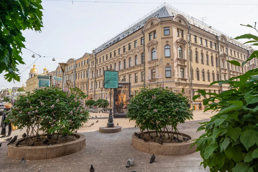 Квартира Уютная квартира в самом центре города рядом с метро — Санкт-Петербург