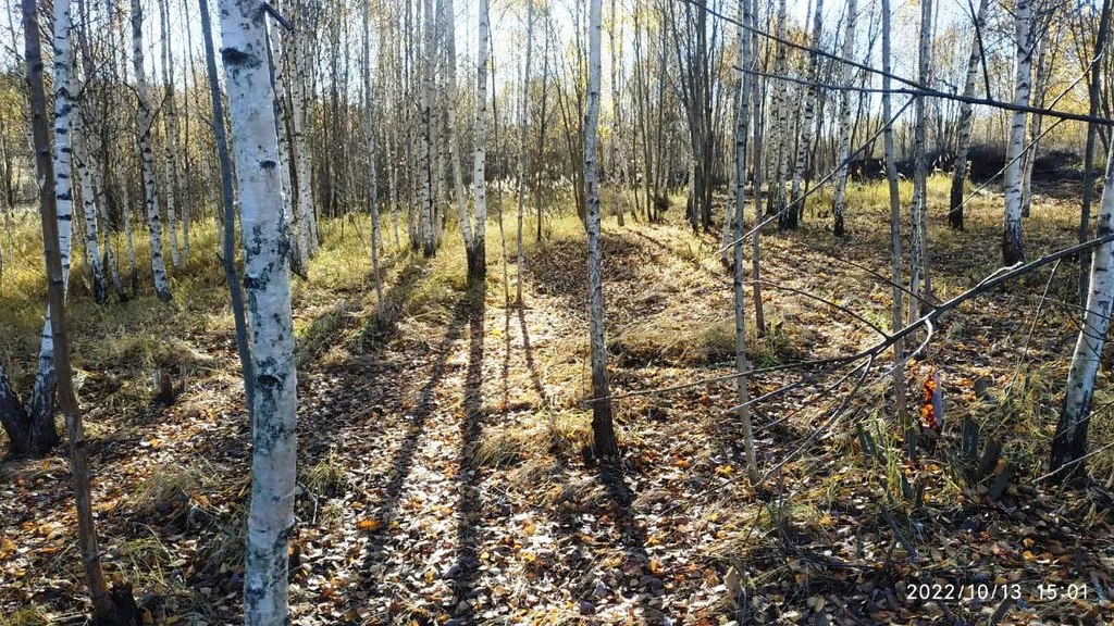 Коттедж Коттедж со своими водоемами и рыбалкой — Шаховская