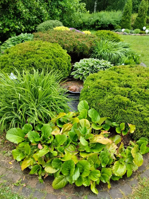 Дом под солнцем