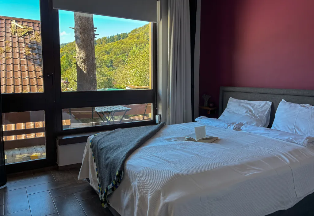 Квартира отдельной спальней и балконом в центре Поляны