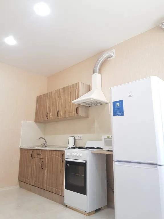 Уютный апартамент рядом с Мегой