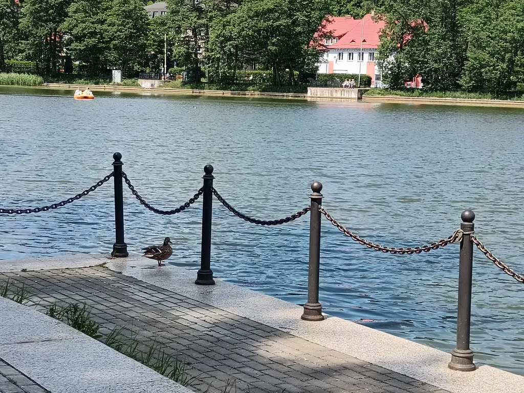 Квартира Уютная квартира — Светлогорск