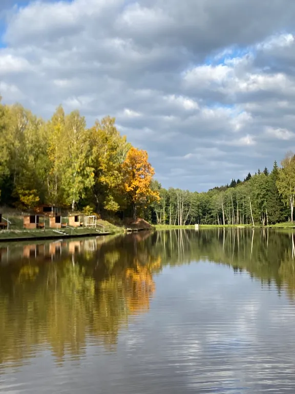 Дом из бруса в лесу с баней и чаном