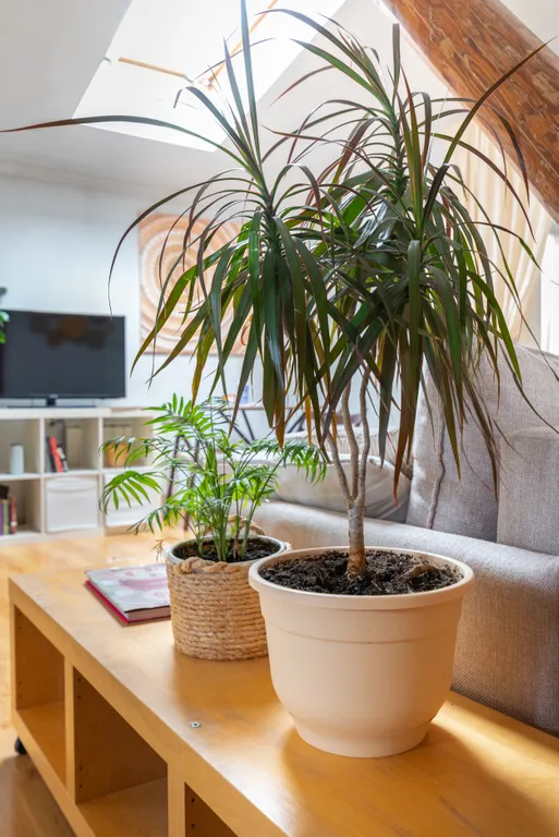 Квартира Квартира Просторная мансарда в самом центре — Москва