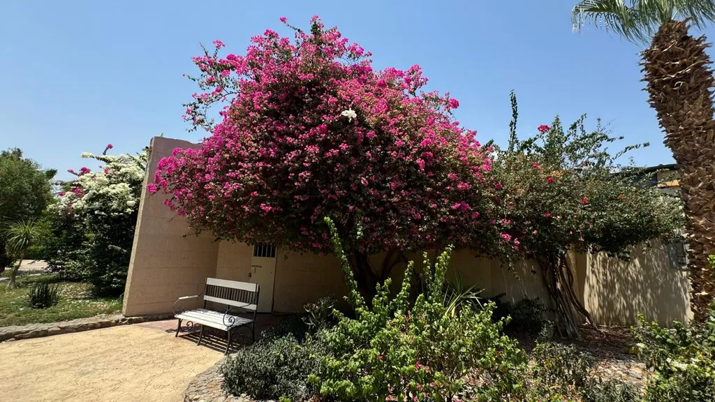 Уютная студия c аквапарком, морем, бассейном и всеми удобствами