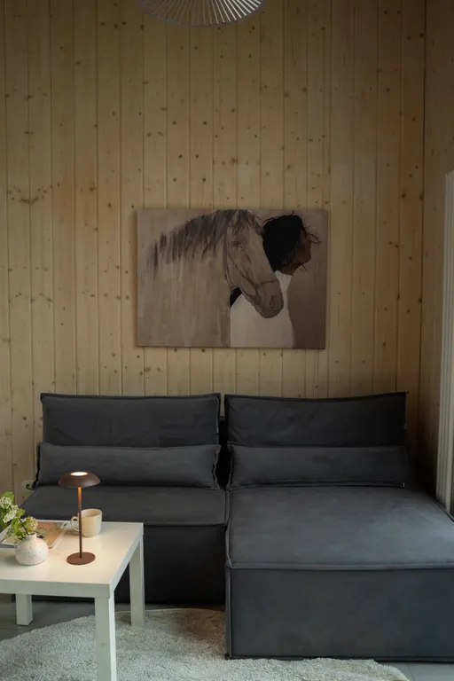 Уютный стильный новый дом с баней в окружении берёзовой рощи