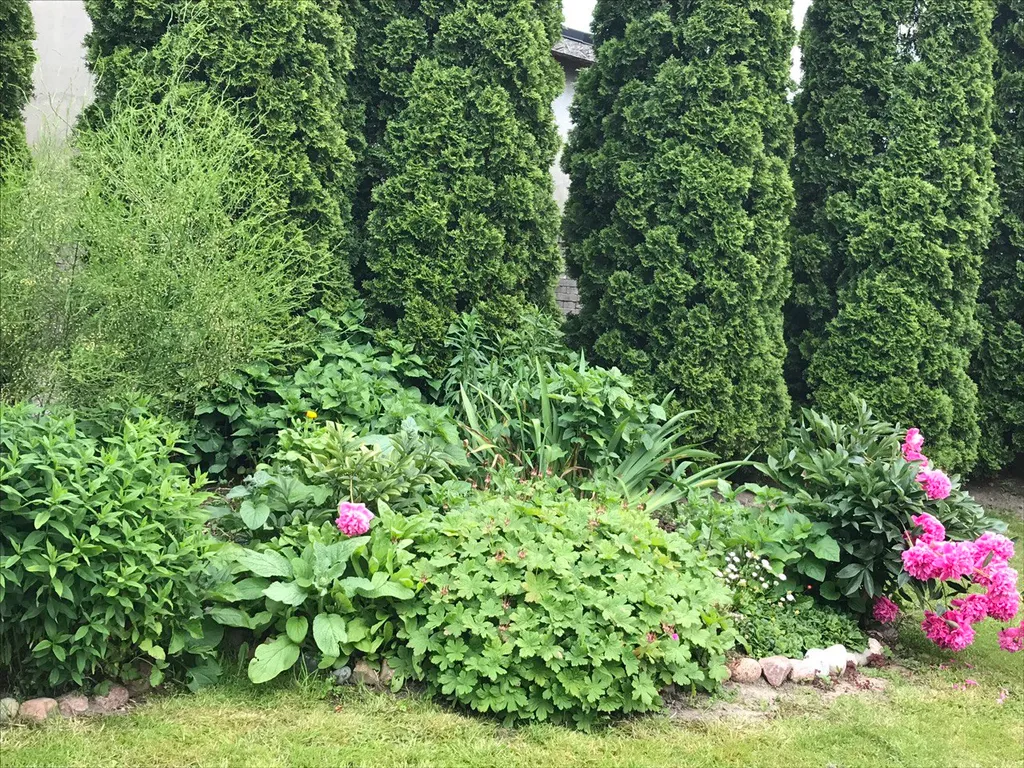 Коттедж Коттедж Лайтхаус Кот Маркиз 1А — Зеленоградск