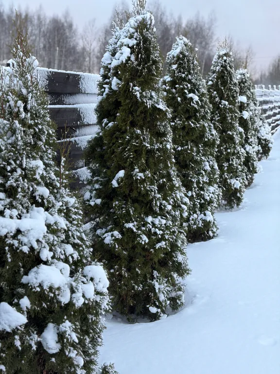 Стильный дом