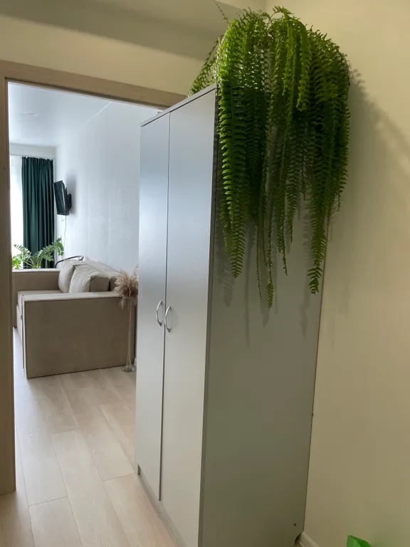 Красивая и уютная студия с видом на закат