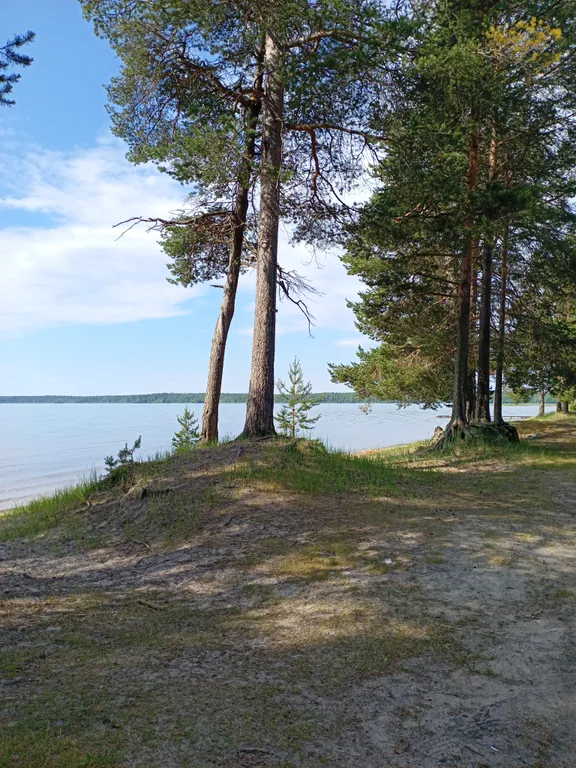 Дом у леса недалеко от песчаного пляжа