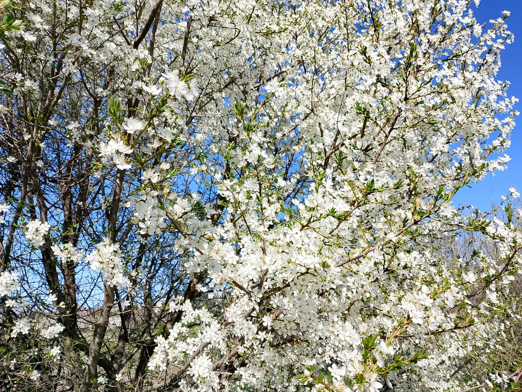 Гостевой дом У Тузика на 3-4 человека