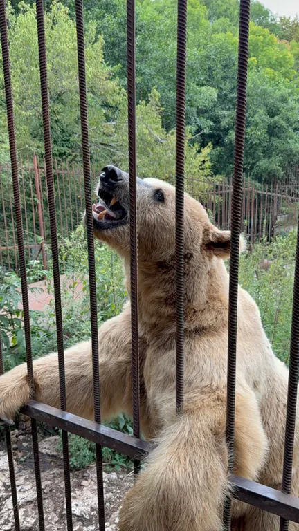 Домик для отдыха с банькой и теплым бассейном