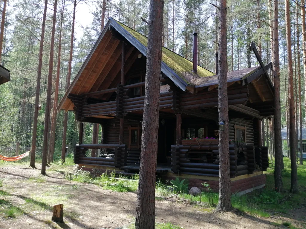 Дом Викинга