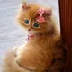 Марина