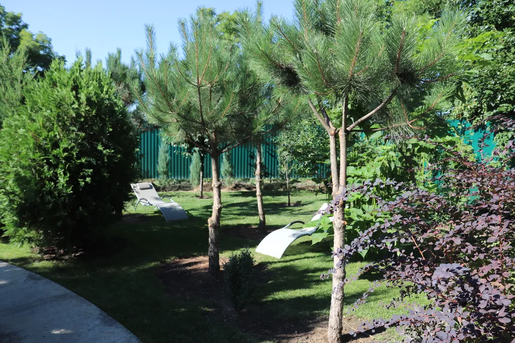 Загородный дом-шале "Pinebrook", аренда, у реки Дон. Сезонный бассейн.