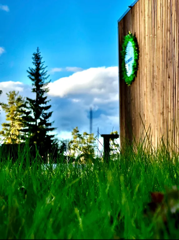 Коттедж Панорамный домик на склоне у Игоры — Орехово