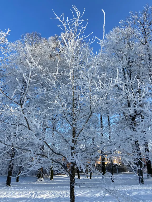 Квартира Апартаменты Александровские — Пушкин
