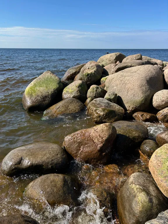 Уютный новый дом в сосновом лесу на берегу Финского залива