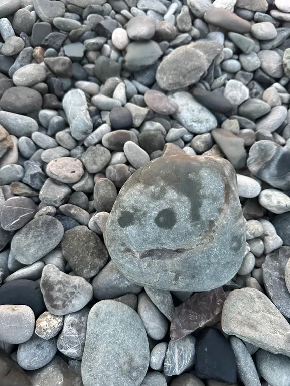 Чистая квартира близко к морю