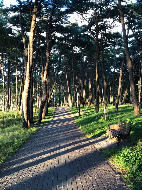 Уютная квартира в зеленом городке на Балтийском море