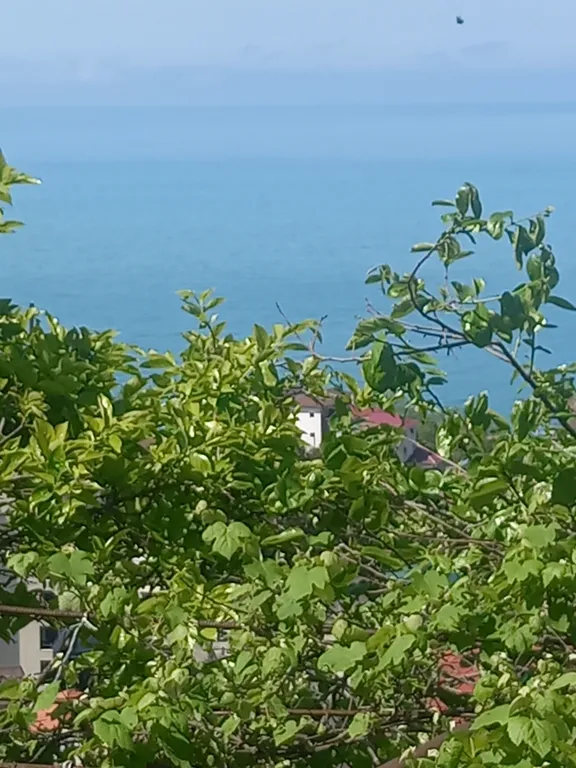 Квартира Комната с видом на море — аренда посуточно в Гагра