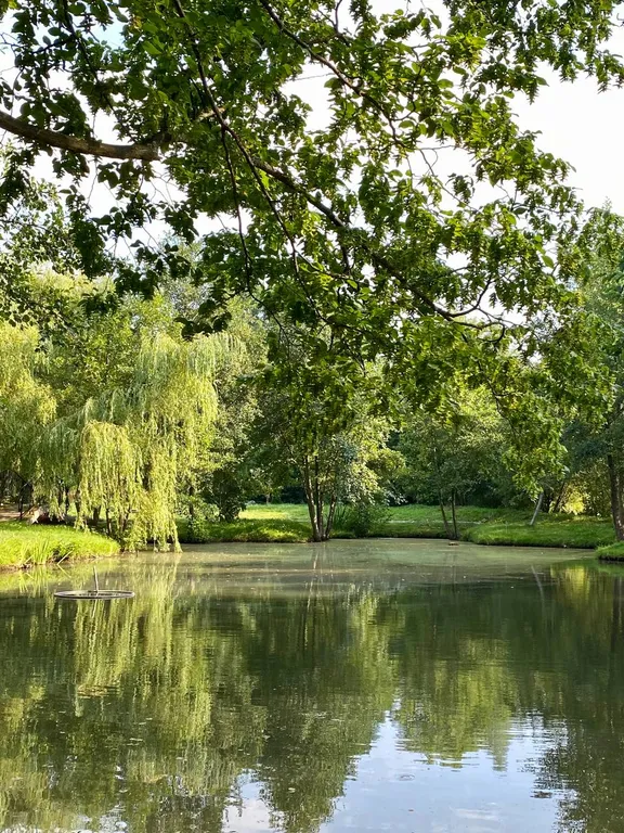 Зелёный дом