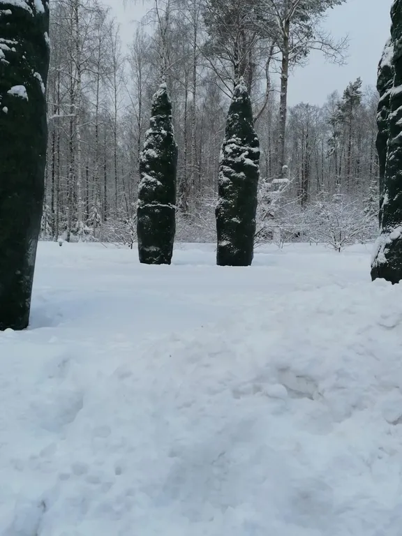 Загородный дом со своим садом