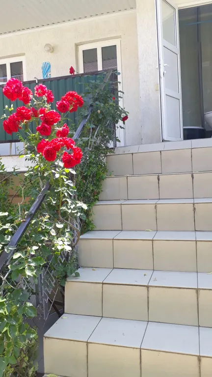 Квартира Уютная комната в частном секторе — Геленджик