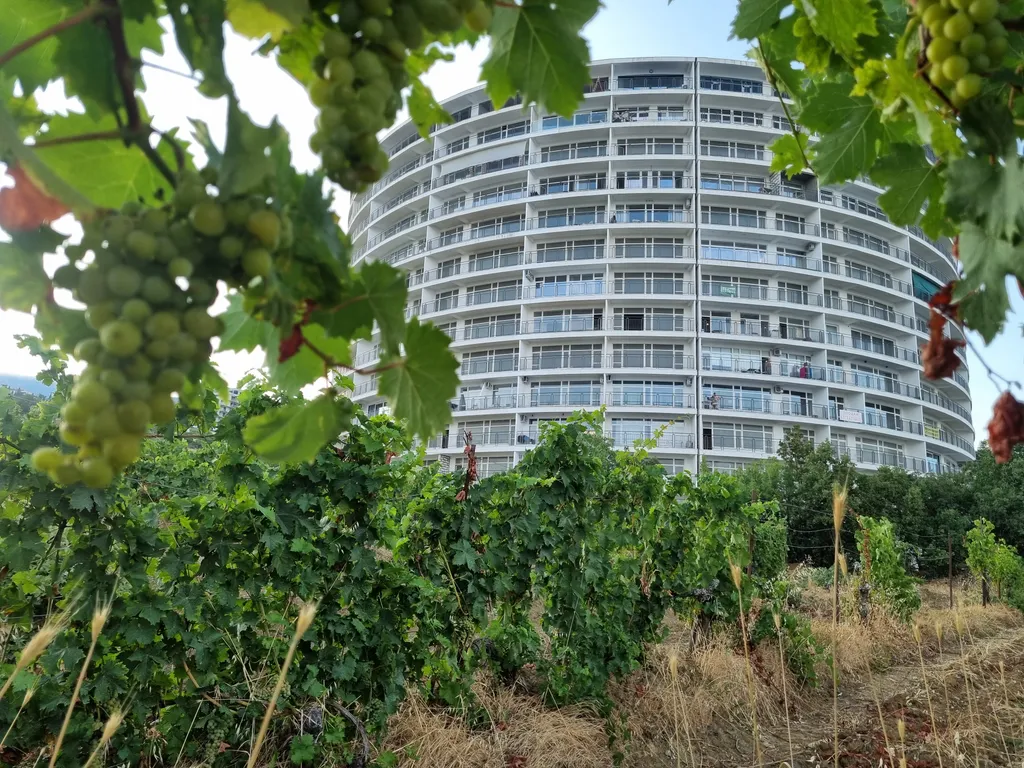 Апартаменты Мускат