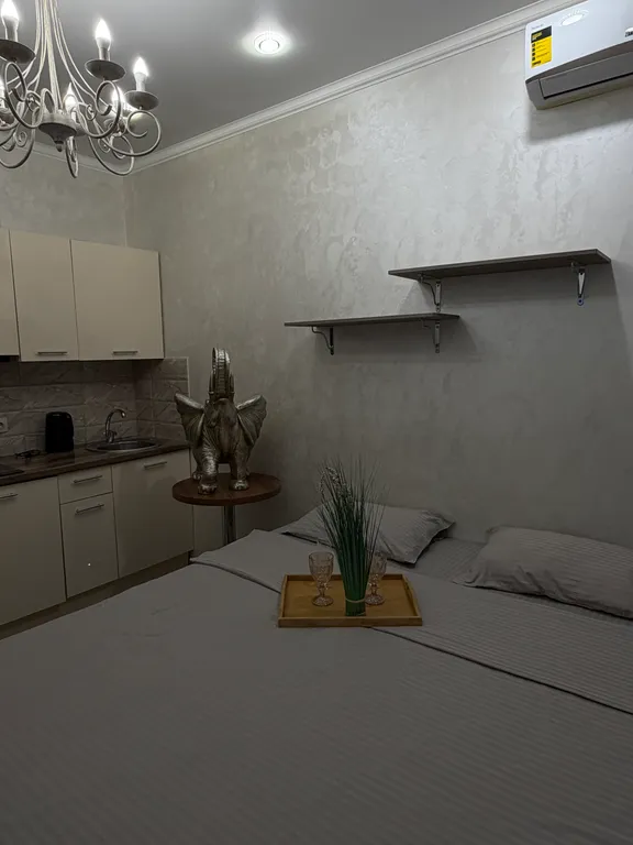 Квартира Апартаменты Сочи Метрополь — Сочи