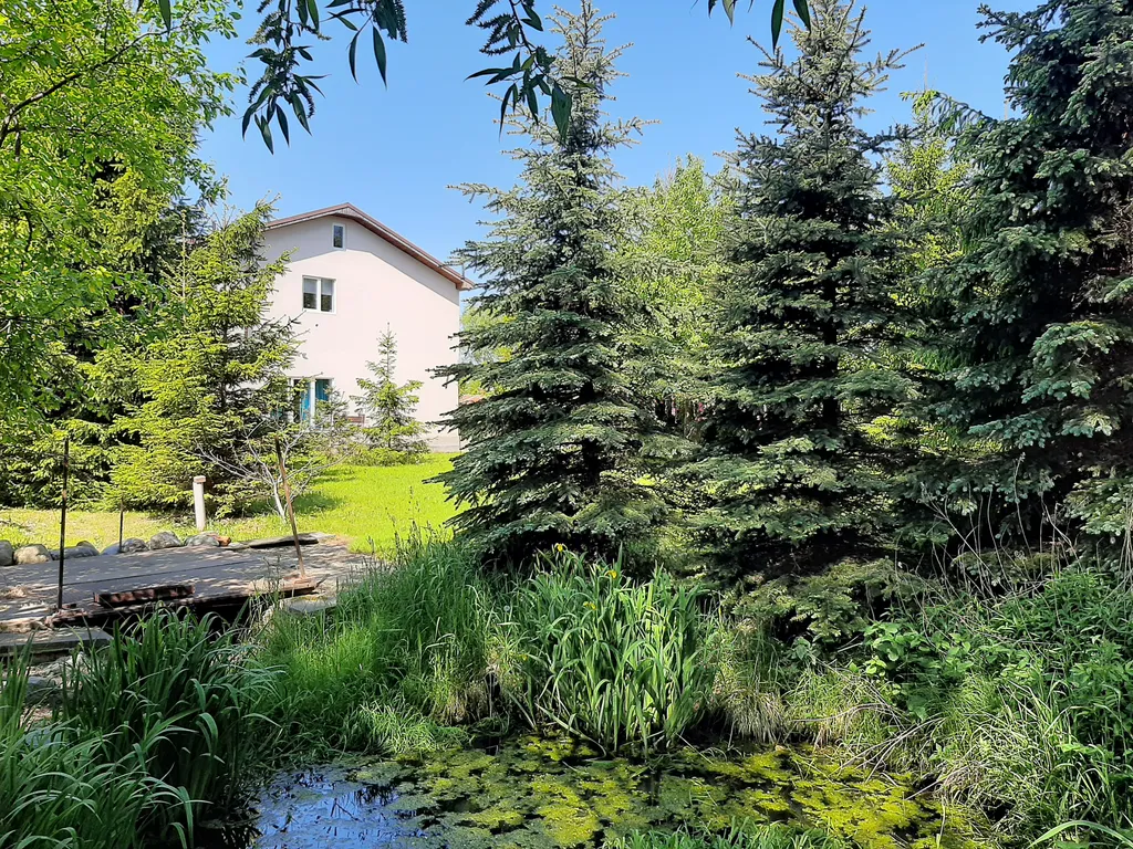 Гостевой дом на 6 человек Чёрный кот