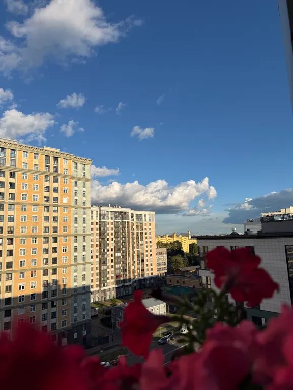 Студия Scandi рядом с метро и центром