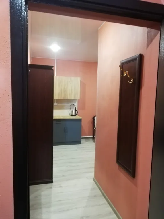 Квартира Уютная студия 25 кв.м — аренда посуточно в Подольск