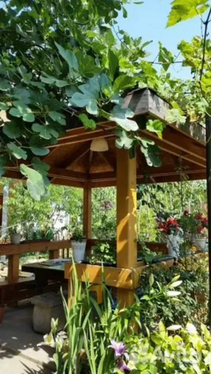 Квартира Комната — Макопсе