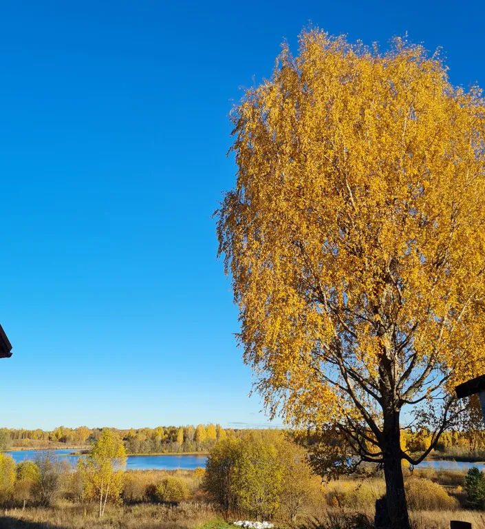Дом у озера Мстижа