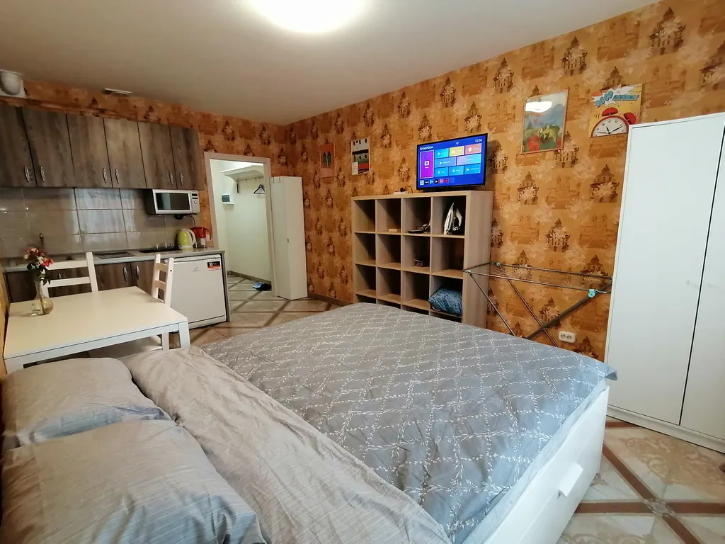 Студия у метро Девяткино