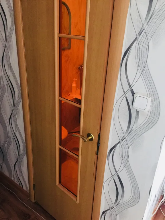 Квартира напротив Кристалл, городской парк