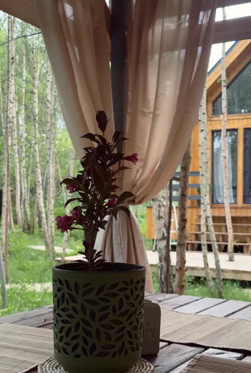 Уютный барн хаус в лесу недалеко от Смоленска