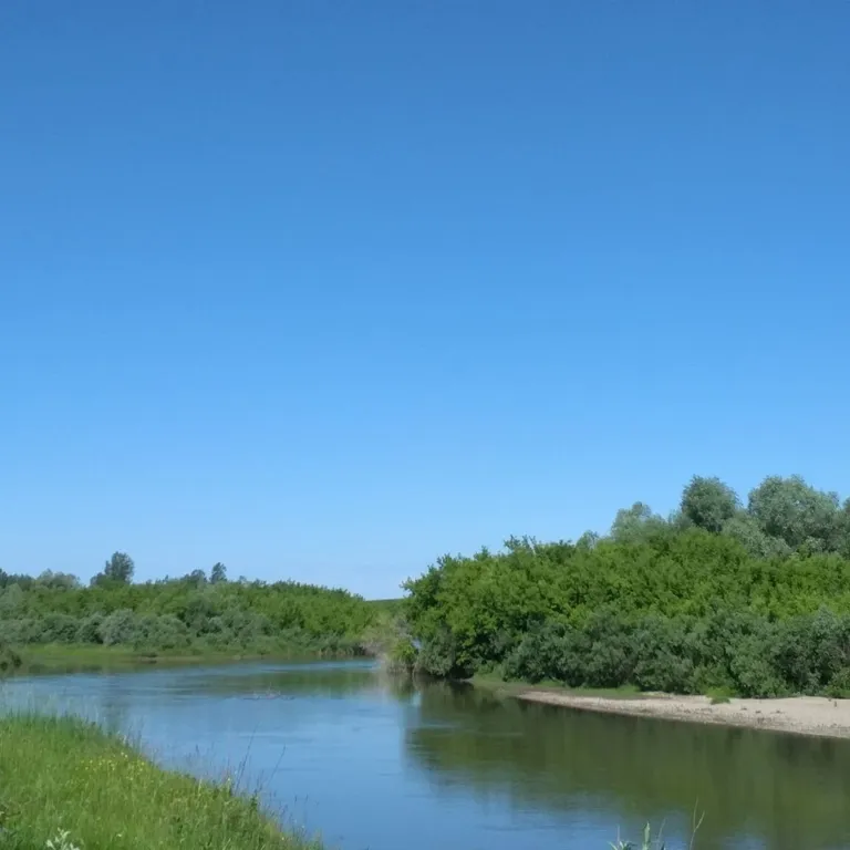 Комната
