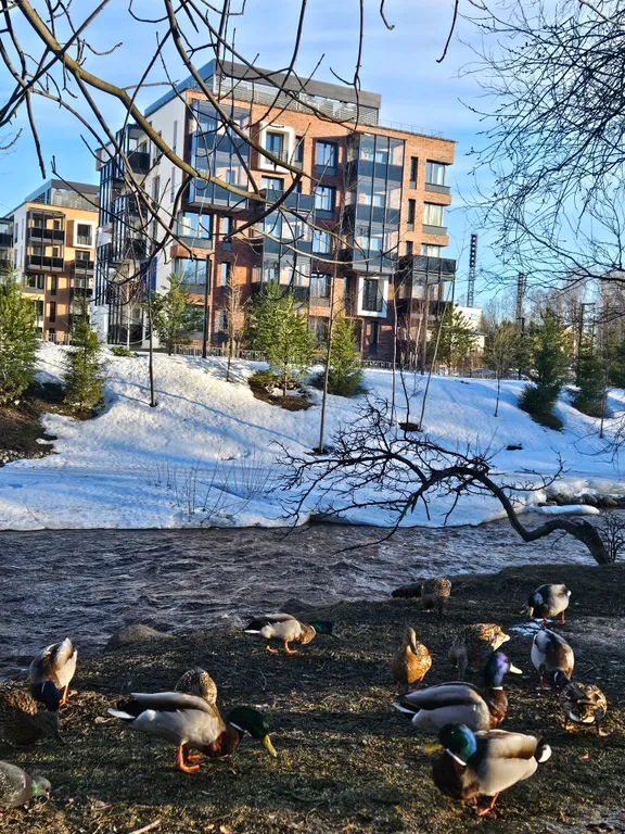 Апартамент Карельская сказка у речки в центре города