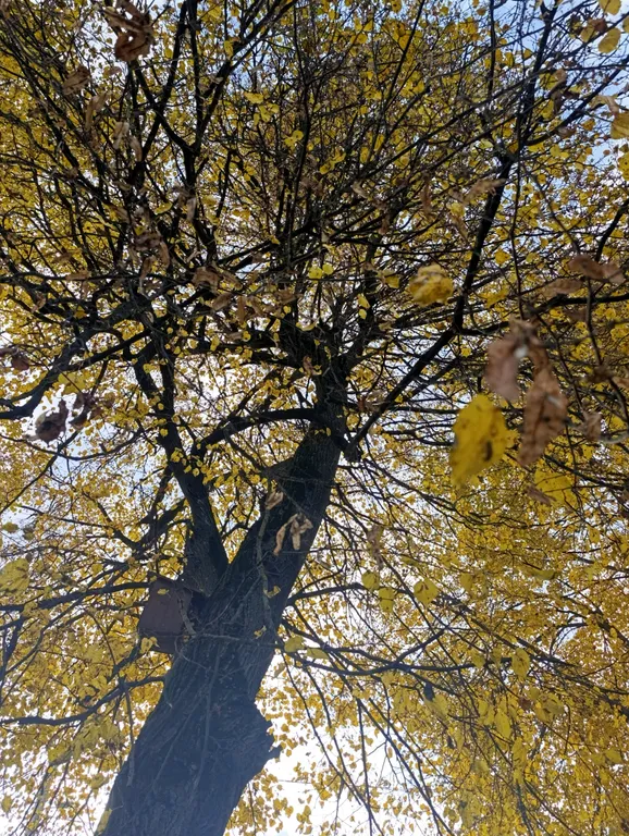 Коттедж Loft коттедж с шикаpным видом на пруд — Шишкино