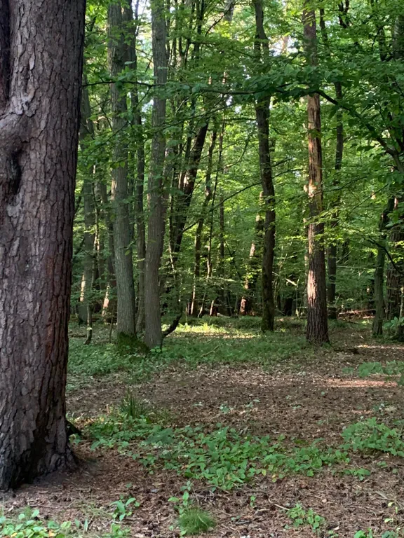 Апартаменты в Светлогорске