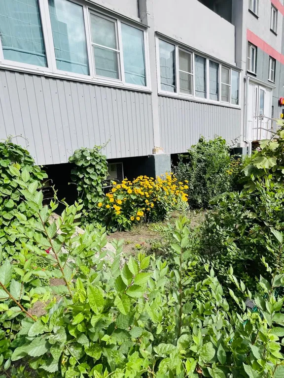 Новая Алмаз/КОНАР/ЧТПЗ/Транснефть