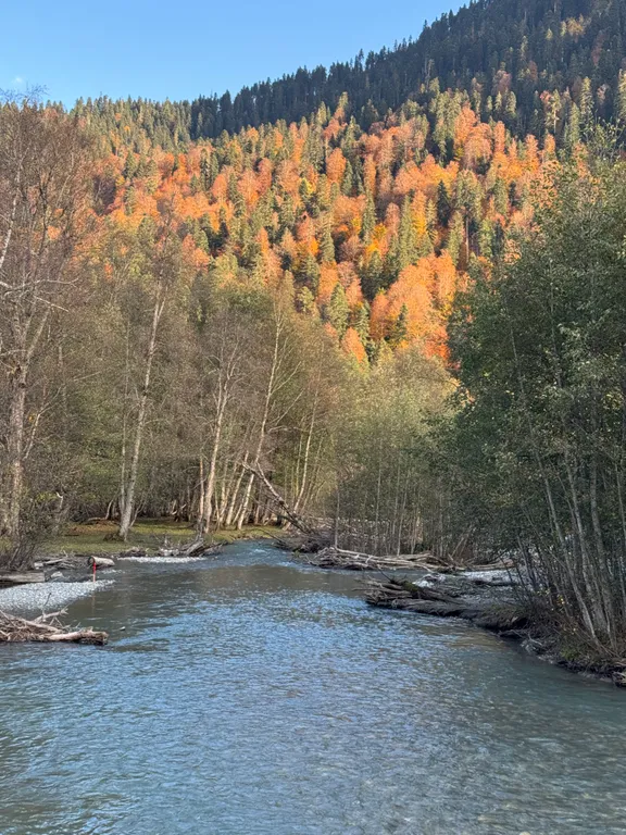 Коттедж в лесу рядом с рекой